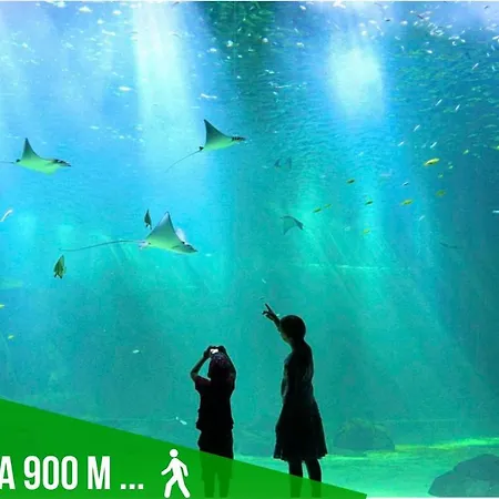 アパート Le Nautilus *